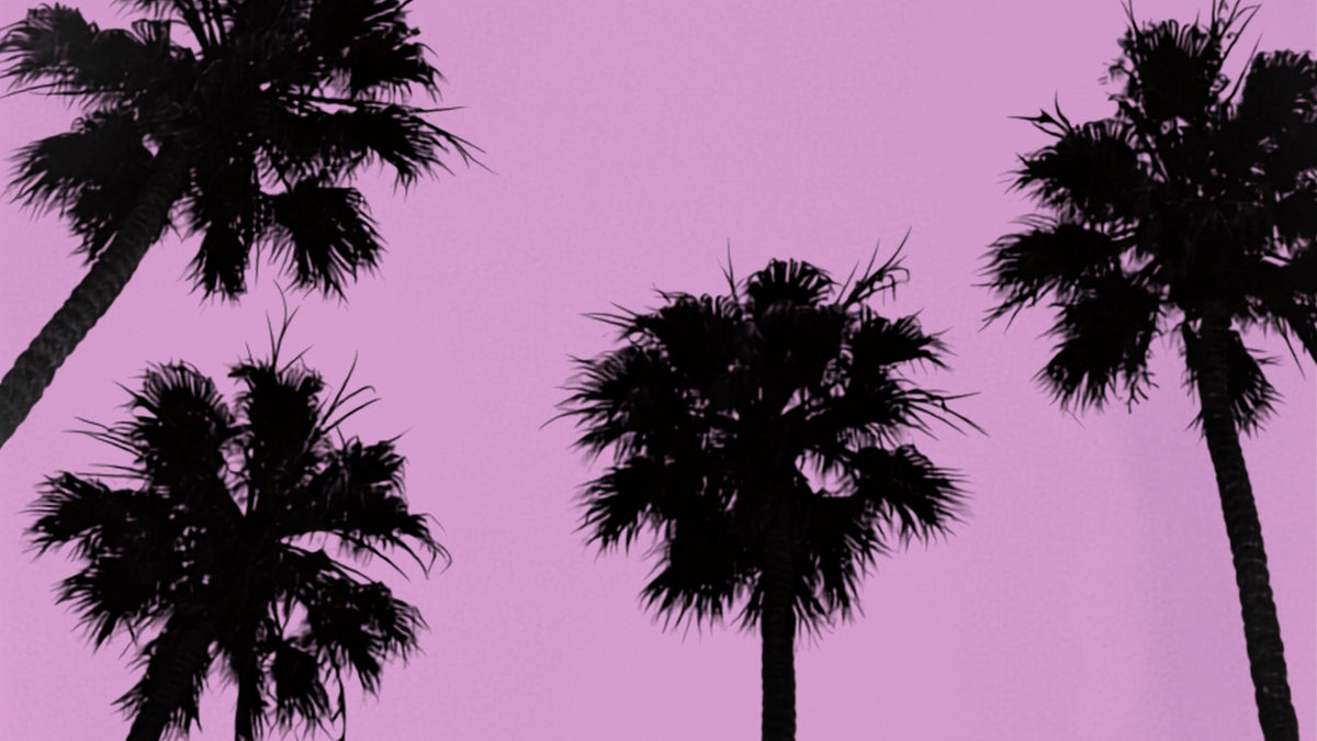 Black LA palm tree silhouettes against a solid pink-purple background.